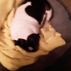 Meet your Posher, Jeffrey